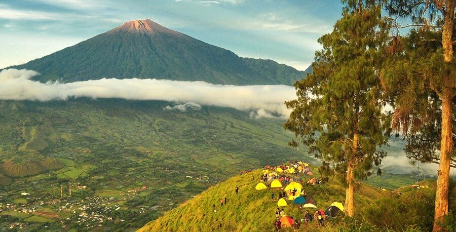 Hiking and Camping Pergasingan Hill Sembalun