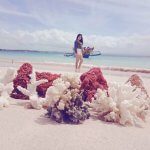 Tour to Pink Beach Lombok Island